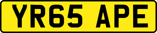 YR65APE