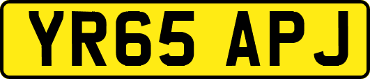 YR65APJ