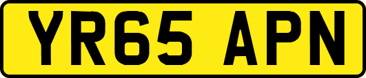YR65APN