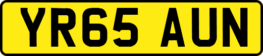 YR65AUN