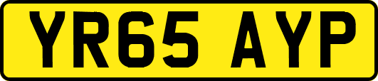 YR65AYP