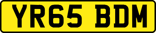 YR65BDM