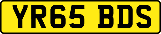 YR65BDS