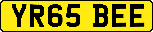 YR65BEE