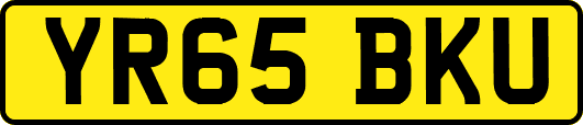 YR65BKU