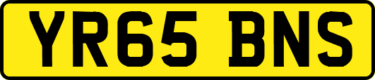 YR65BNS