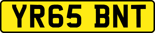 YR65BNT
