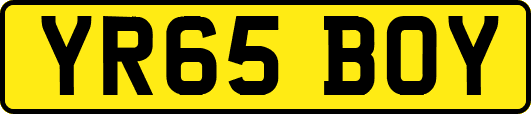 YR65BOY