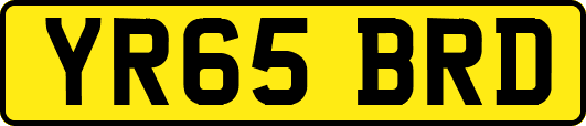 YR65BRD