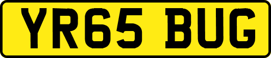 YR65BUG