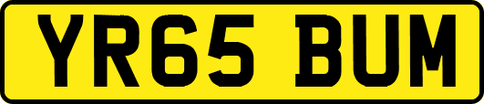 YR65BUM