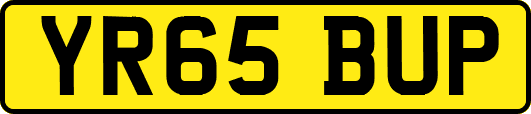 YR65BUP