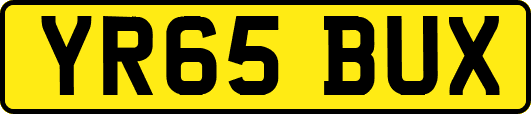 YR65BUX