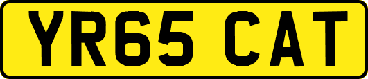 YR65CAT