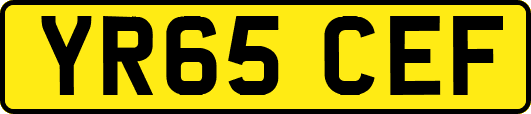 YR65CEF