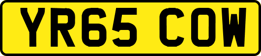 YR65COW