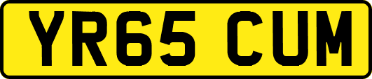 YR65CUM