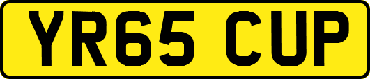 YR65CUP