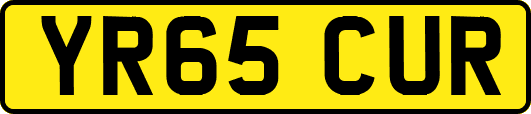 YR65CUR