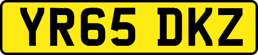 YR65DKZ