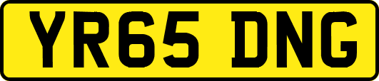 YR65DNG
