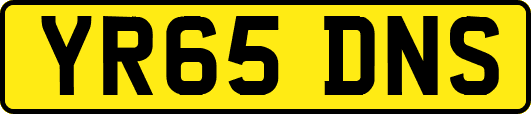 YR65DNS