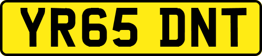 YR65DNT