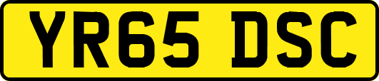 YR65DSC