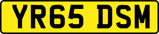 YR65DSM