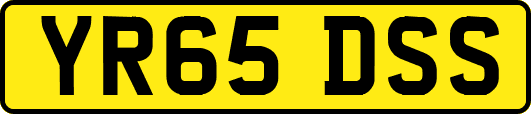 YR65DSS
