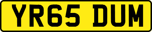 YR65DUM