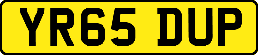 YR65DUP