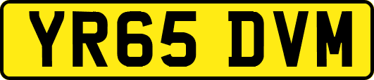 YR65DVM