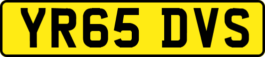 YR65DVS
