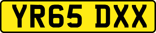 YR65DXX
