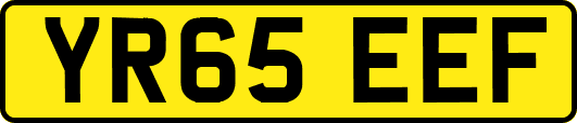 YR65EEF