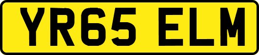 YR65ELM