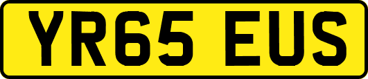 YR65EUS