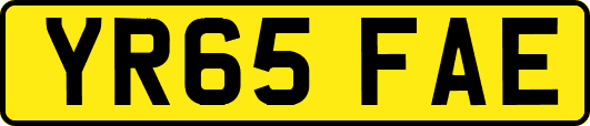 YR65FAE