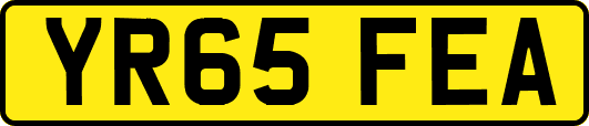 YR65FEA