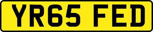YR65FED