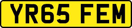 YR65FEM