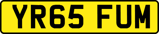 YR65FUM