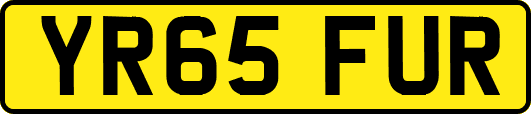 YR65FUR