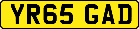 YR65GAD