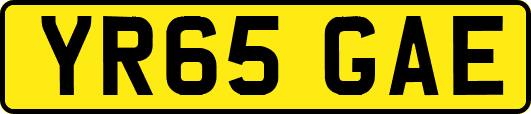 YR65GAE