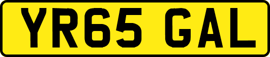 YR65GAL
