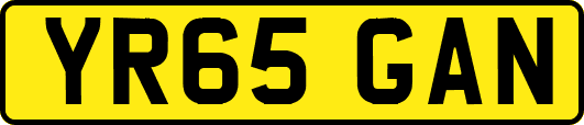 YR65GAN