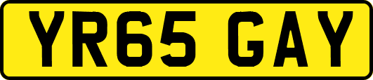 YR65GAY