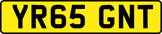 YR65GNT